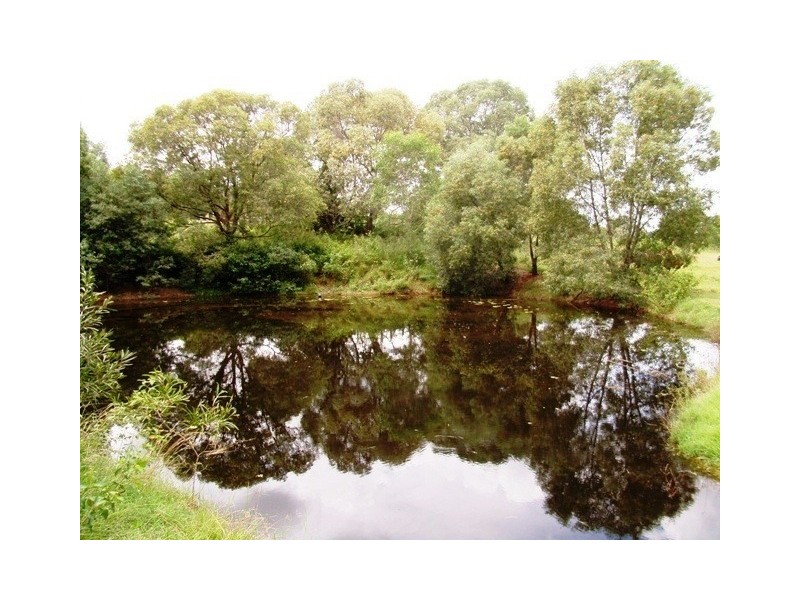 1980 Mount Samson rd, Samford QLD 4520