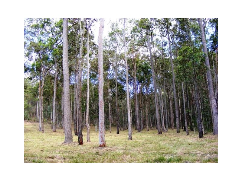 12 Tom Schmidt Court, Samford QLD 4520