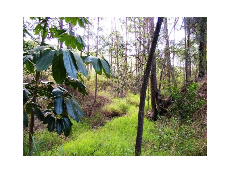 12 Tom Schmidt Court, Samford QLD 4520