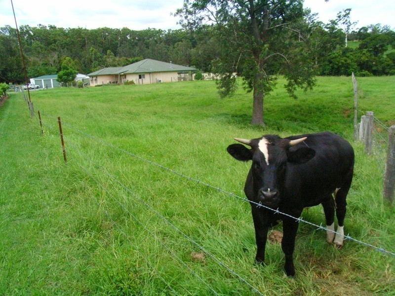 69A Lees Crossing Road, Dayboro QLD 4521