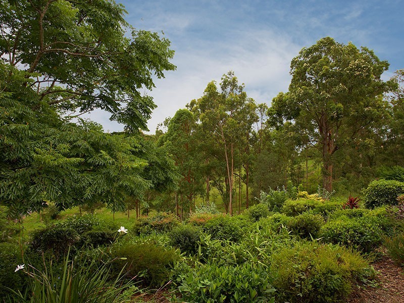 1 Benjamin Close, Samford QLD 4520