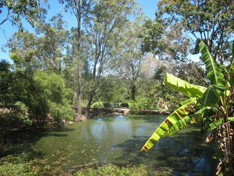 10 Mangifera Close, Samford QLD 4520