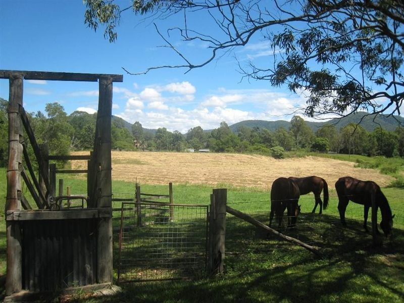 10 Mangifera Close, Samford QLD 4520