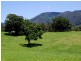 13 Haigh Cresent, Samford Valley QLD 4520