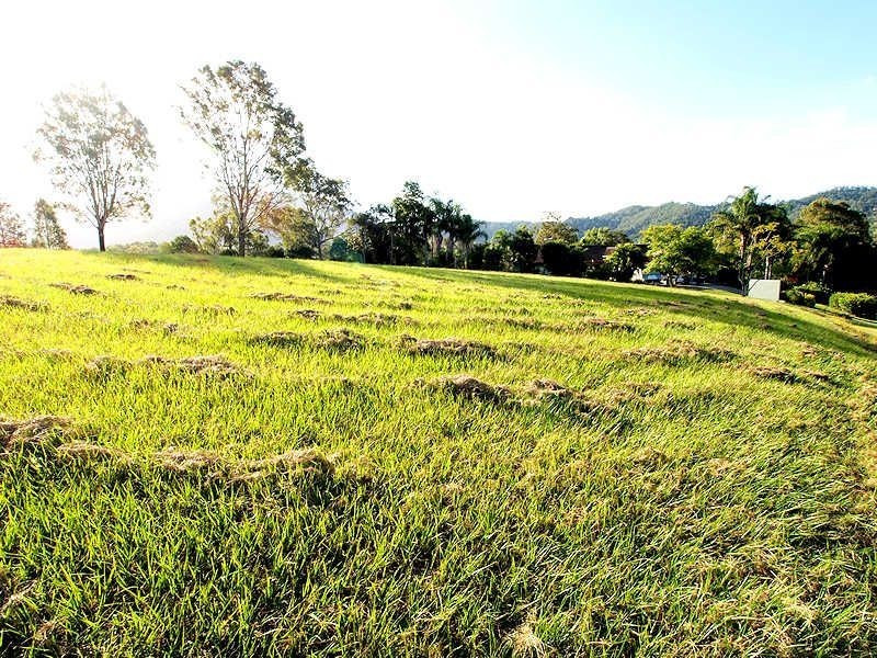 56 Greenwood Crescent, Samford QLD 4520