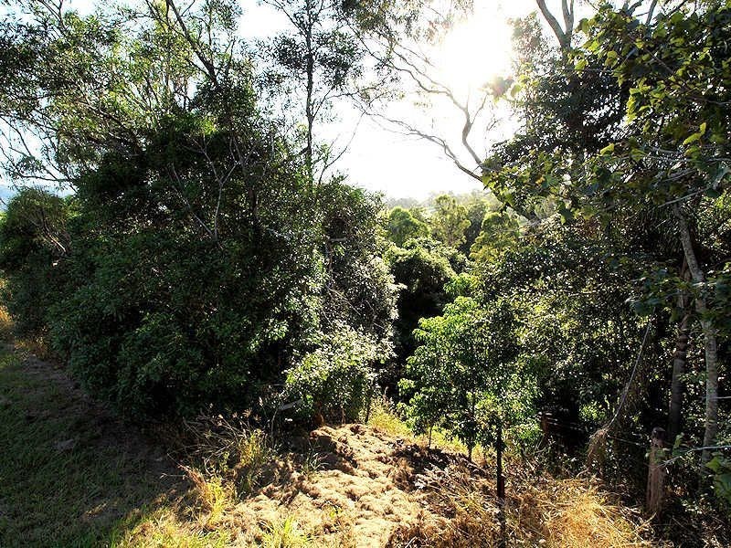 56 Greenwood Crescent, Samford QLD 4520