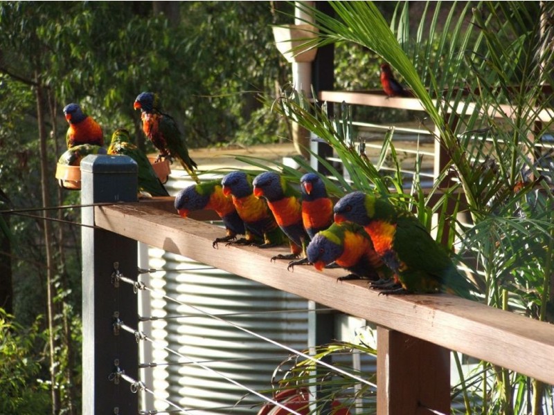 69 Harland Road, Mount Glorious QLD 4520