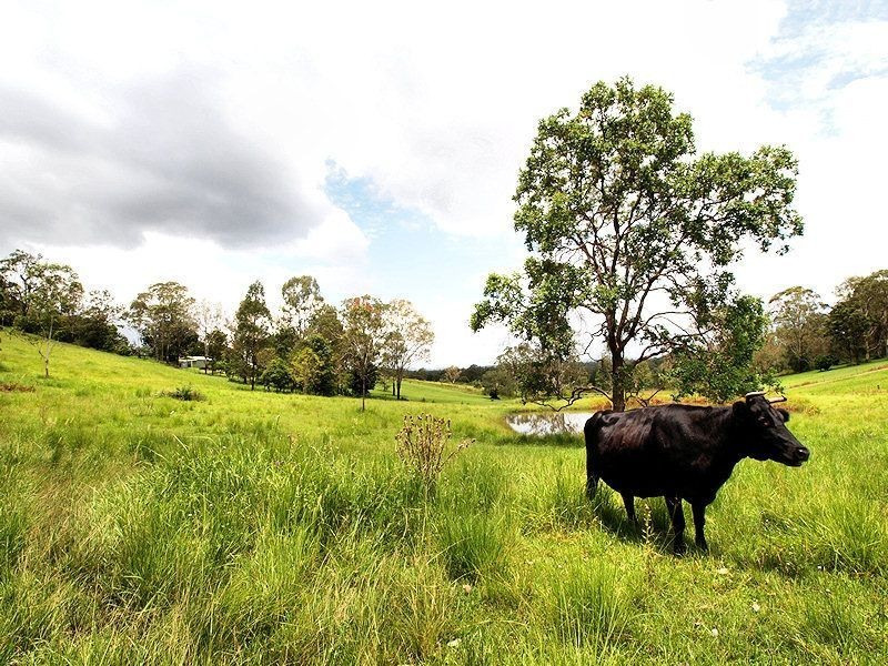 22 Rush Creek Road, Dayboro QLD 4521