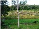 Samford QLD 4520