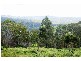 Eudlo QLD 4554