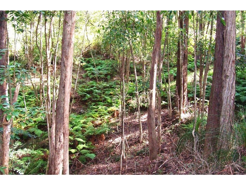 120 Panorama Drive, Nambour QLD 4560