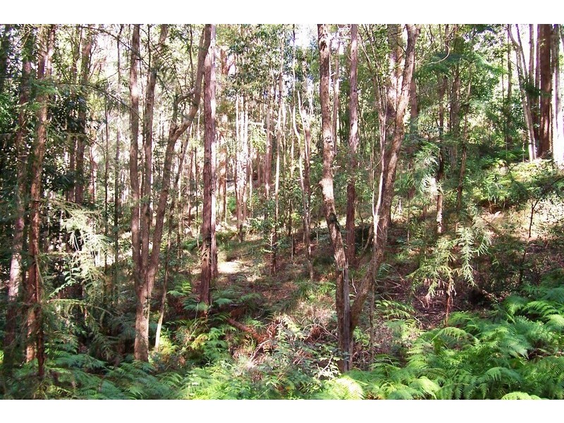 120 Panorama Drive, Nambour QLD 4560