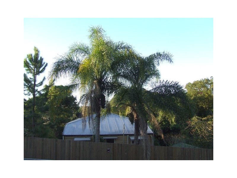 7 Petrie Creek Road, Nambour QLD 4560