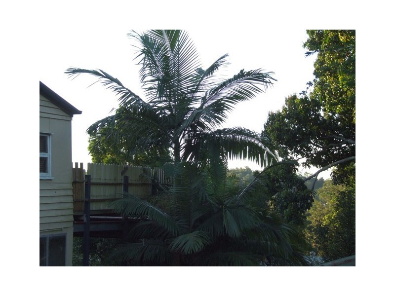 7 Petrie Creek Road, Nambour QLD 4560