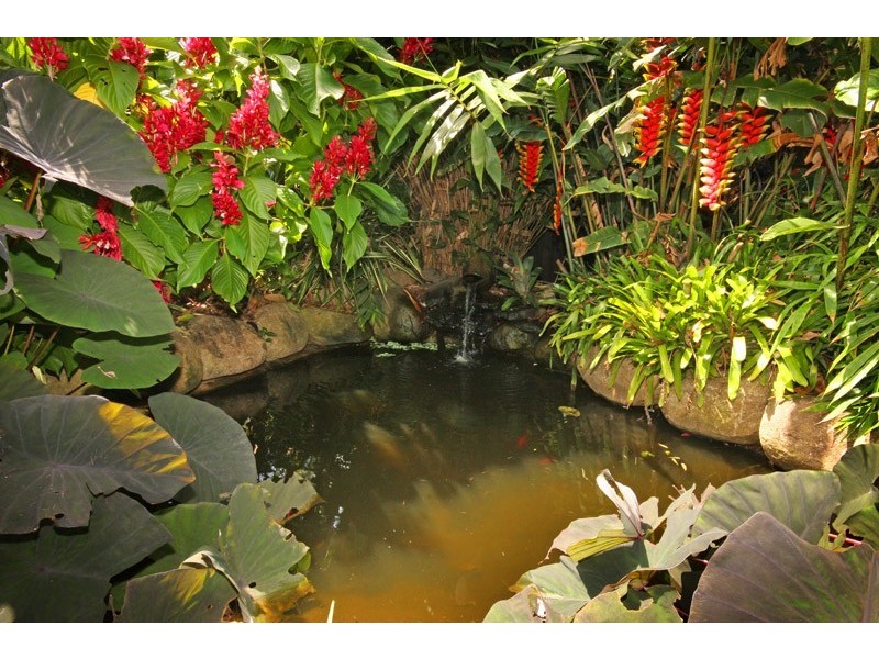 887 Maroochydore Road, Forest Glen QLD 4556