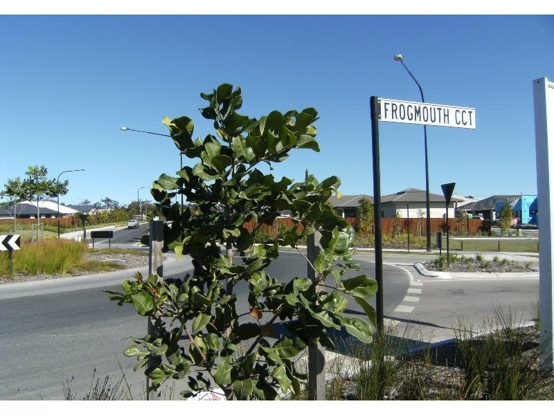 Lot 464 Frogmouth Circuit, Mountain Creek QLD 4557