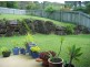 Buderim QLD 4556