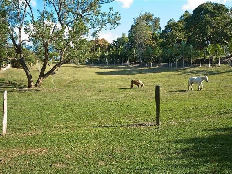 Diddillibah QLD 4559