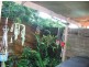 Buderim QLD 4556