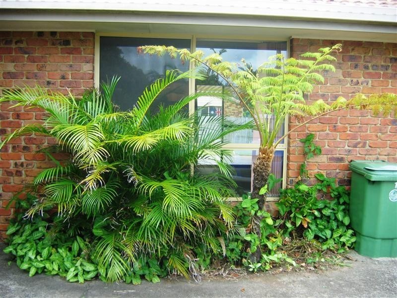 Wurtulla QLD 4575
