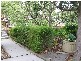11 Maud Street, Clapham SA 5062