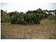 Lot 27 Carinya Road, Piccadilly SA 5151