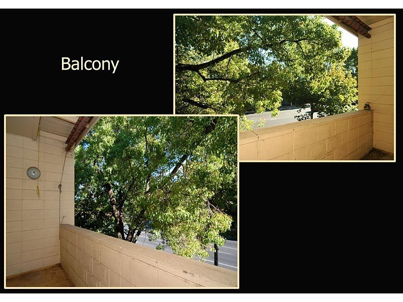 8/123 Cross Rd, Hawthorn SA 5062