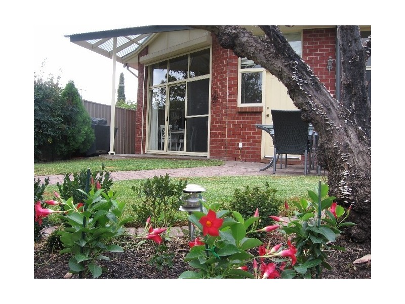 31 Catherine Street, Clapham SA 5062