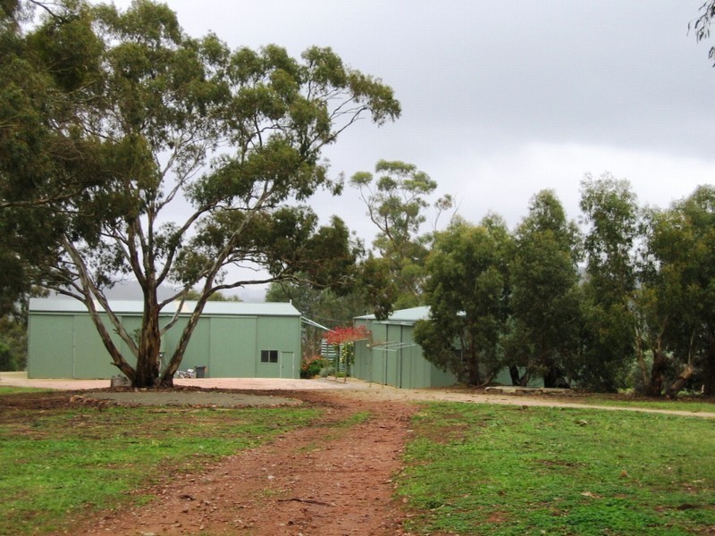 1 “Skilly  Hills” Farm, Auburn SA 5451