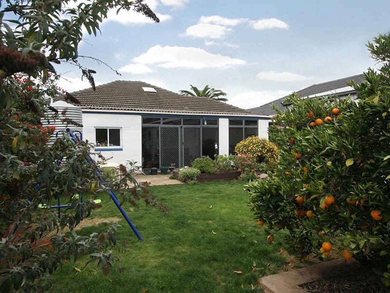 53 Kingston Avenue, Daw Park SA 5041