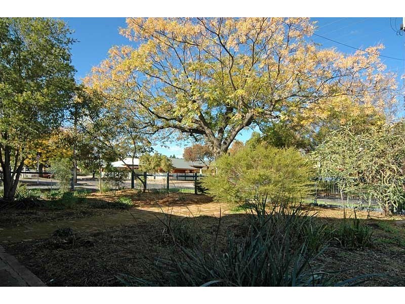 38 Penang Avenue, Colonel Light Gardens SA 5041