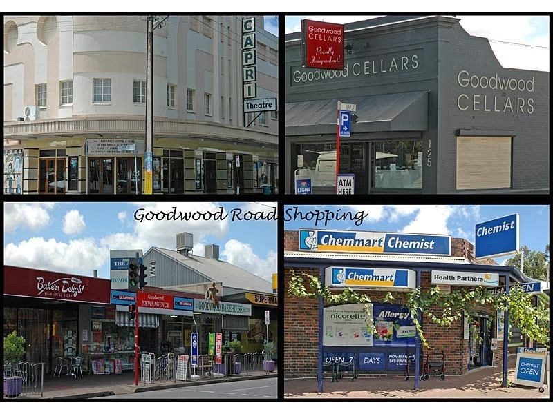 123 Leader Street, Forestville SA 5035