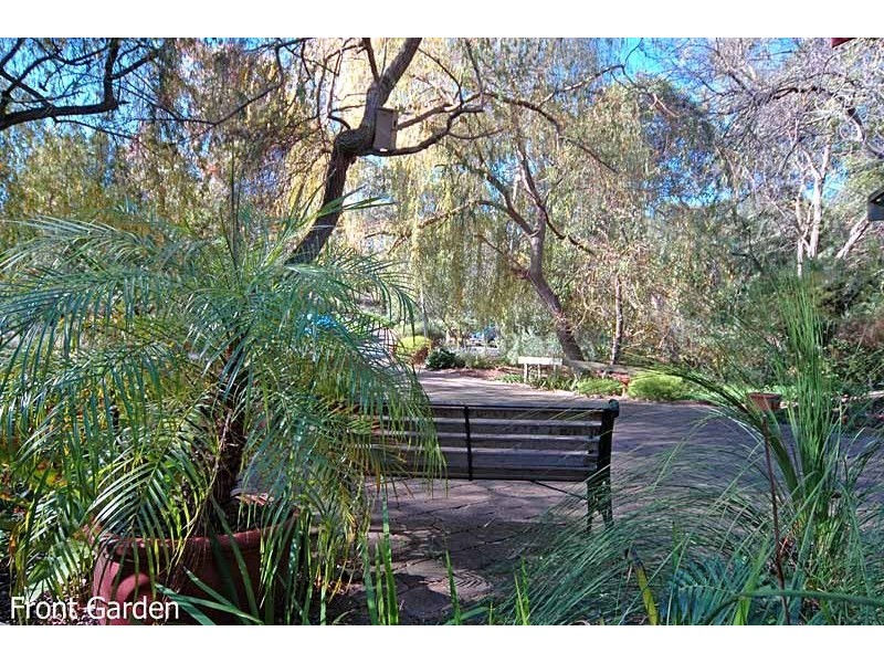 6 Weemala Drive, Mitcham SA 5062