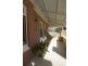 20 Prince George Parade, Colonel Light Gardens SA 5041
