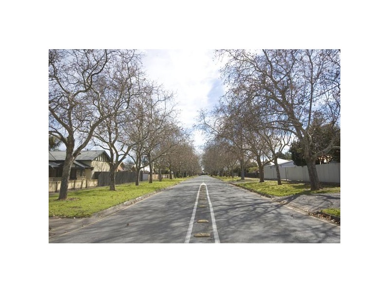 20 Prince George Parade, Colonel Light Gardens SA 5041