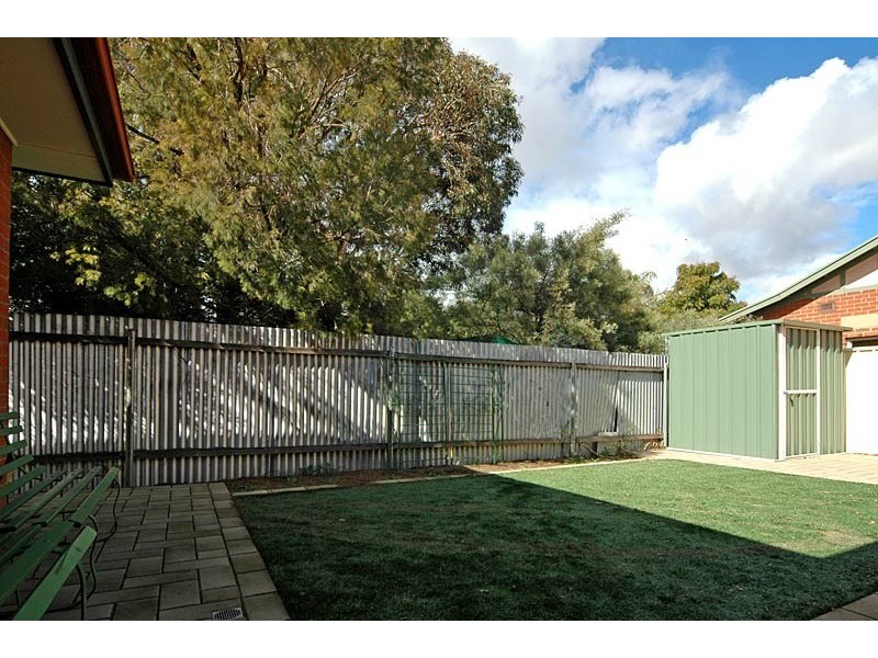 49B Beauchamp Street, Kurralta Park SA 5037