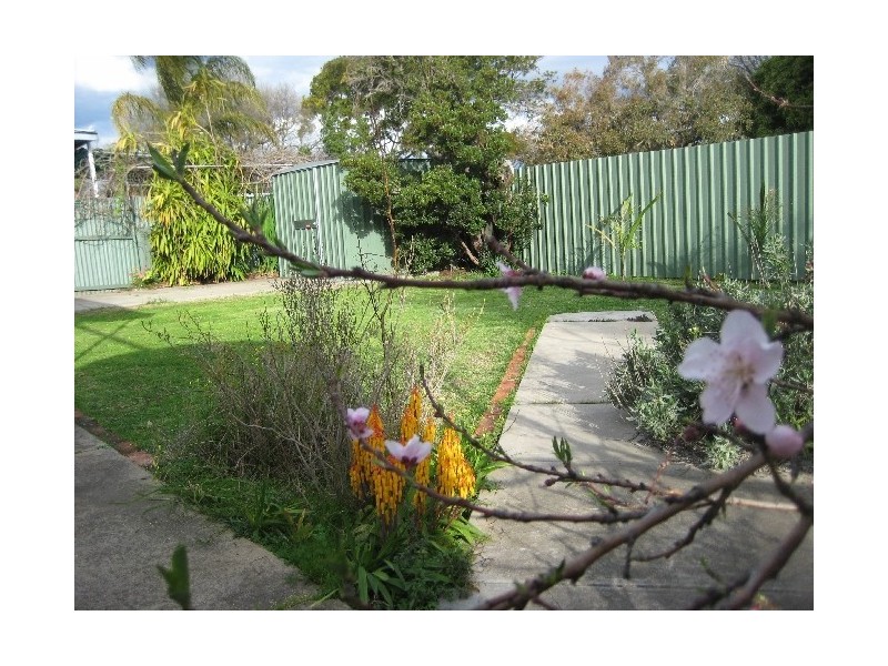 117 Rozelle Avenue, Melrose Park SA 5039