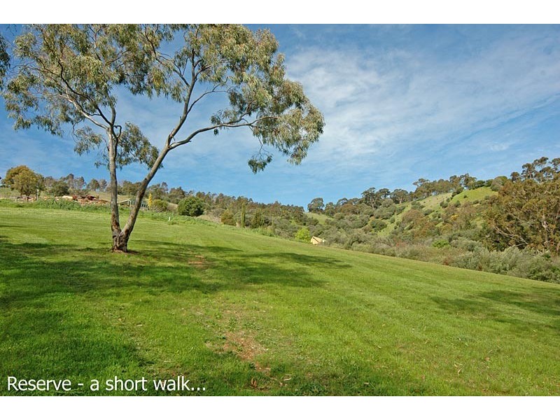 13/9 Meadowvale Road, Coromandel Valley SA 5051