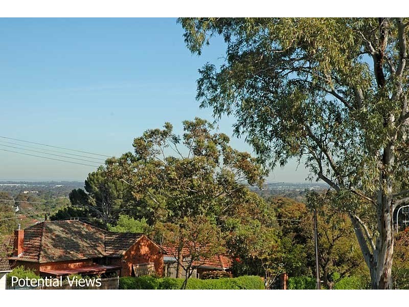 8 Braemar Road, Torrens Park SA 5062