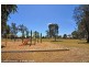 63 Norrie Avenue, Clovelly Park SA 5042