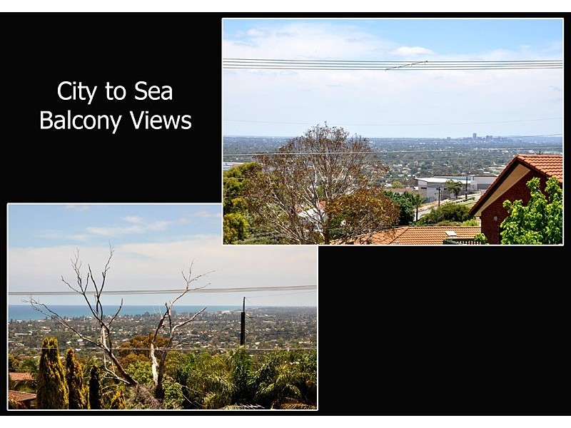 8 Murat Street, Seaview Downs SA 5049