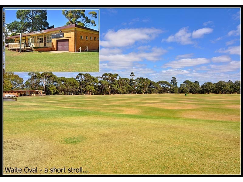 7/28 Kitchener St, Netherby SA 5062