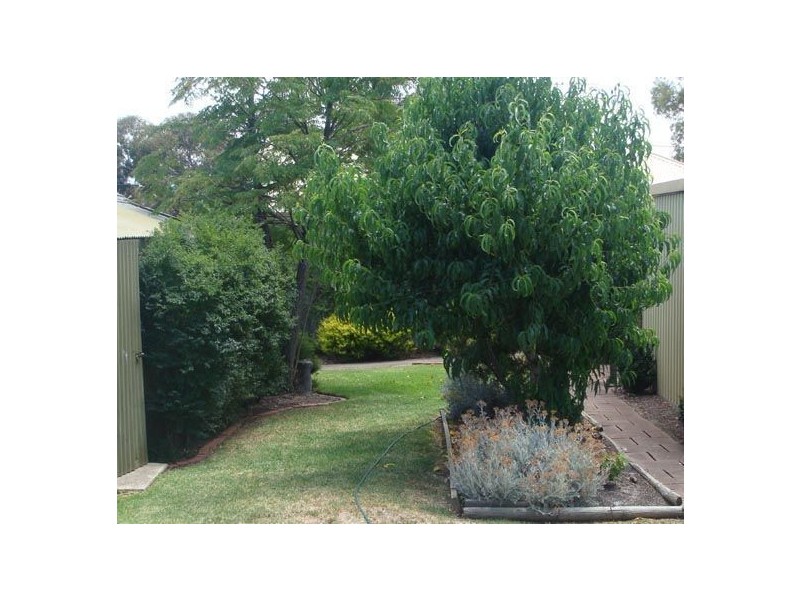 4 Day Drive, Pasadena SA 5042