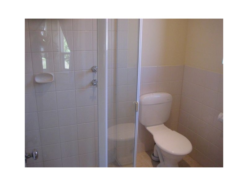 59 Melville Street, South Plympton SA 5038