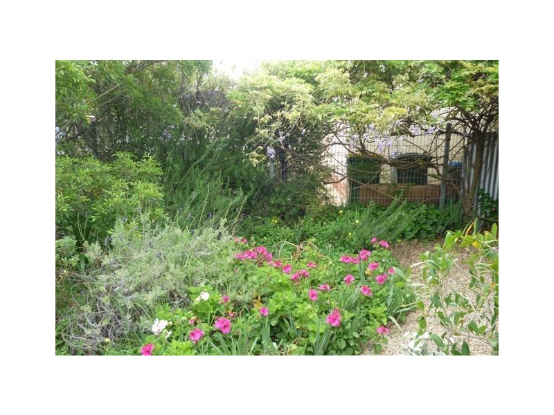 11 Fraser Street, Lower Mitcham SA 5062