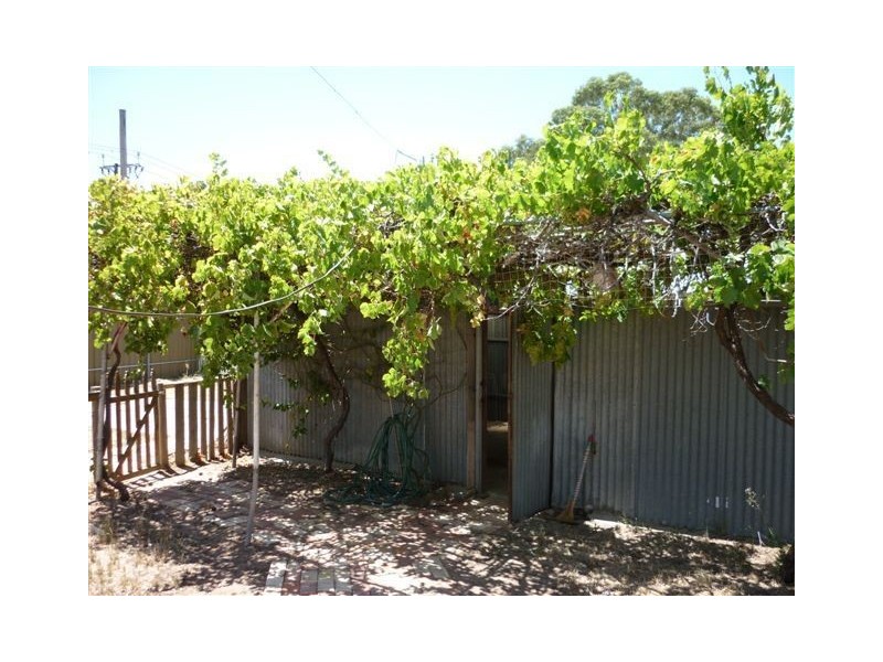 51 Dudley Street, Mansfield Park SA 5012