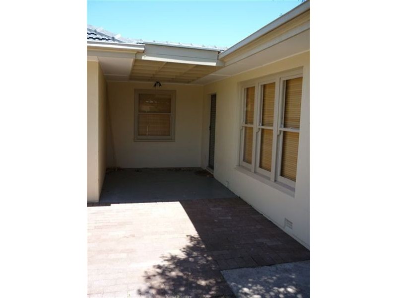 49 Celtic Avenue, Clovelly Park SA 5042