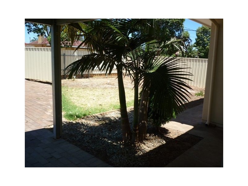 49 Celtic Avenue, Clovelly Park SA 5042