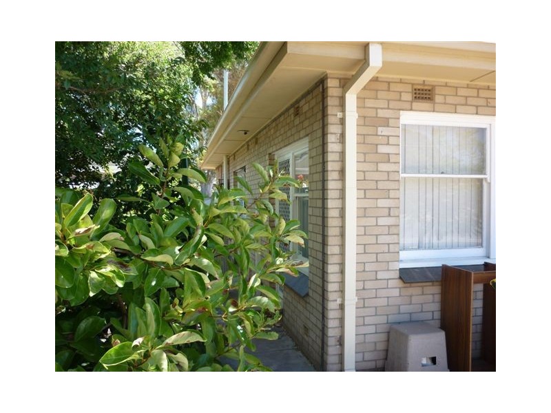 18B Beckman Street, Plympton SA 5038