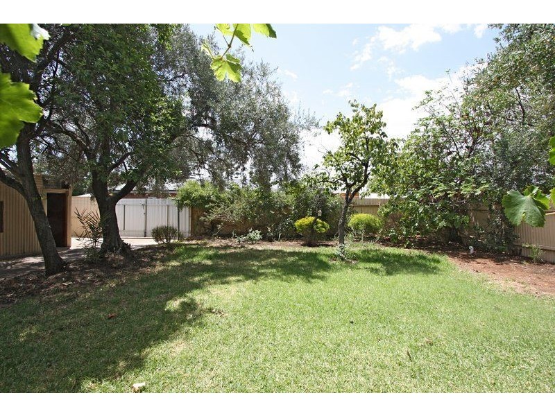 13 Sturt Avenue, Colonel Light Gardens SA 5041